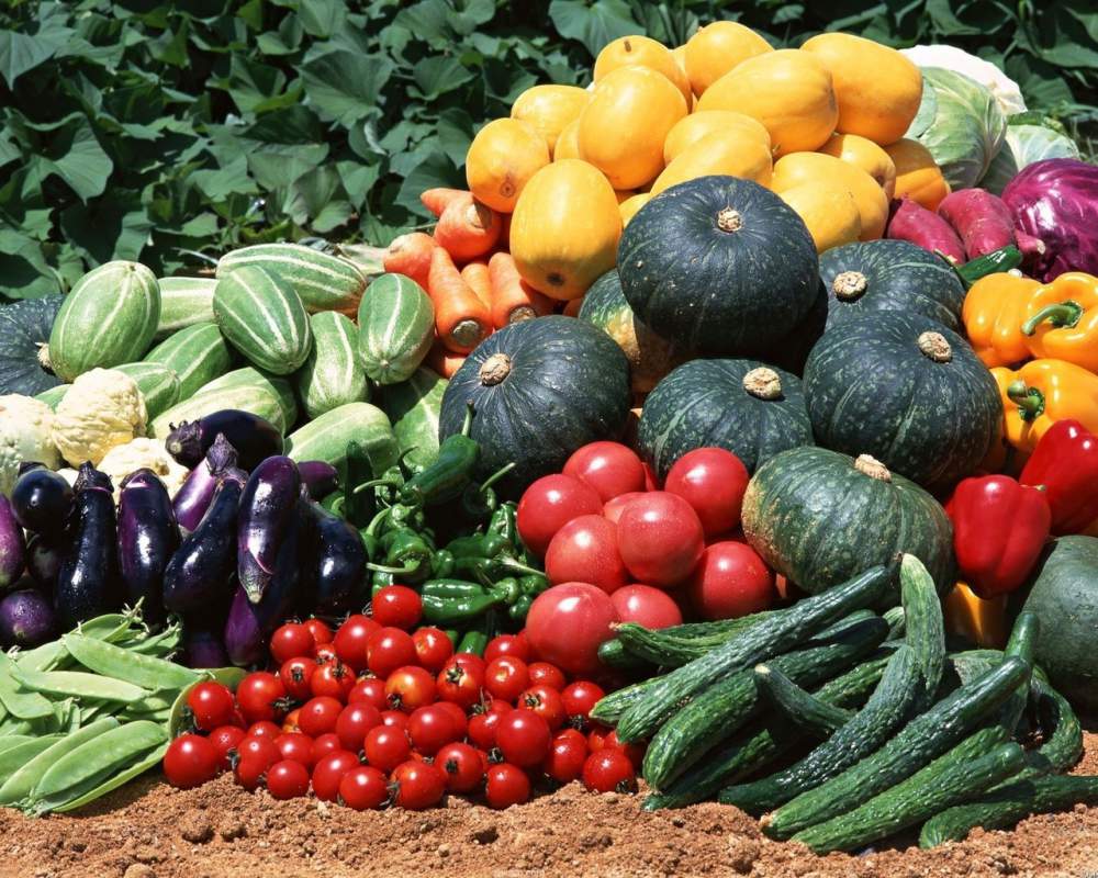 купить семена овощей в украине